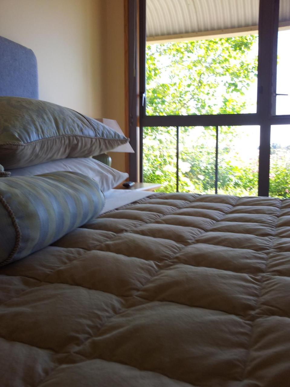 Hawkdun Rise Vineyard & Accommodation Alexandra Exteriör bild